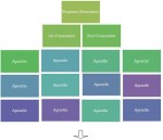 Mormon Church Structure | Life After Ministry